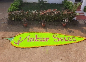 Ankur Seeds