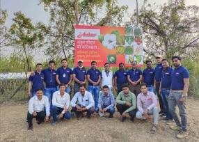 baramati-field-img1