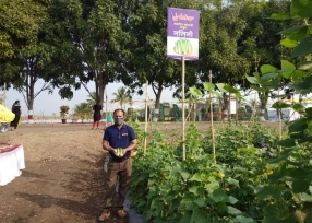 baramati-field-img4