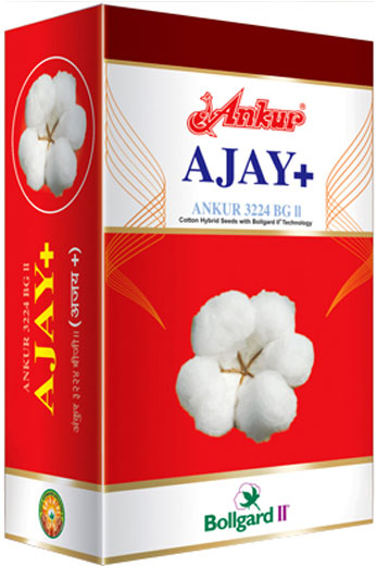 Ankur Ajay Plus BG II 
