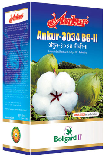 Ankur - 3034 - BG II 