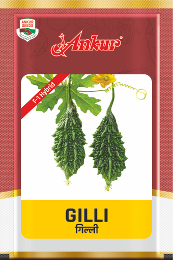 Hy Bitter Gourd Gilli 