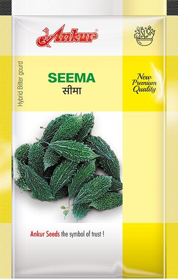 Hy Bitter Gourd Seema