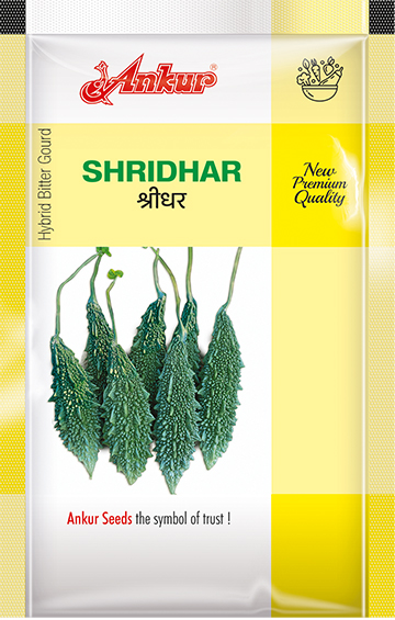 Hy Bitter Gourd Shridhar 