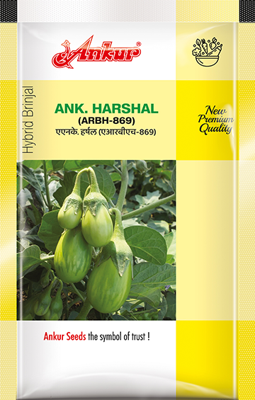 Hy Brinjal Harshal