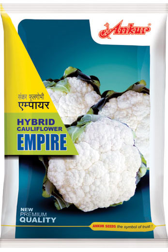 Hy Cauliflower Empire 