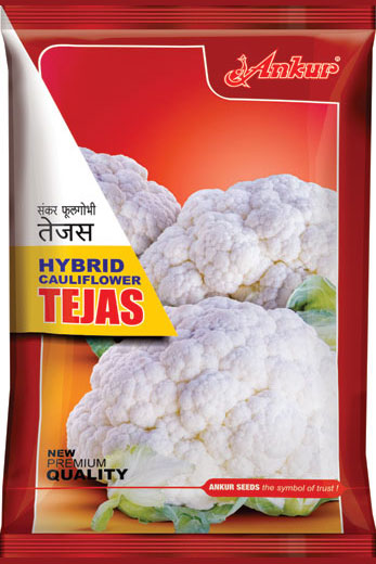 Hy Cauliflower Tejas 