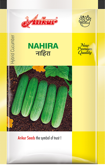 Hy Cucumber Nahira 