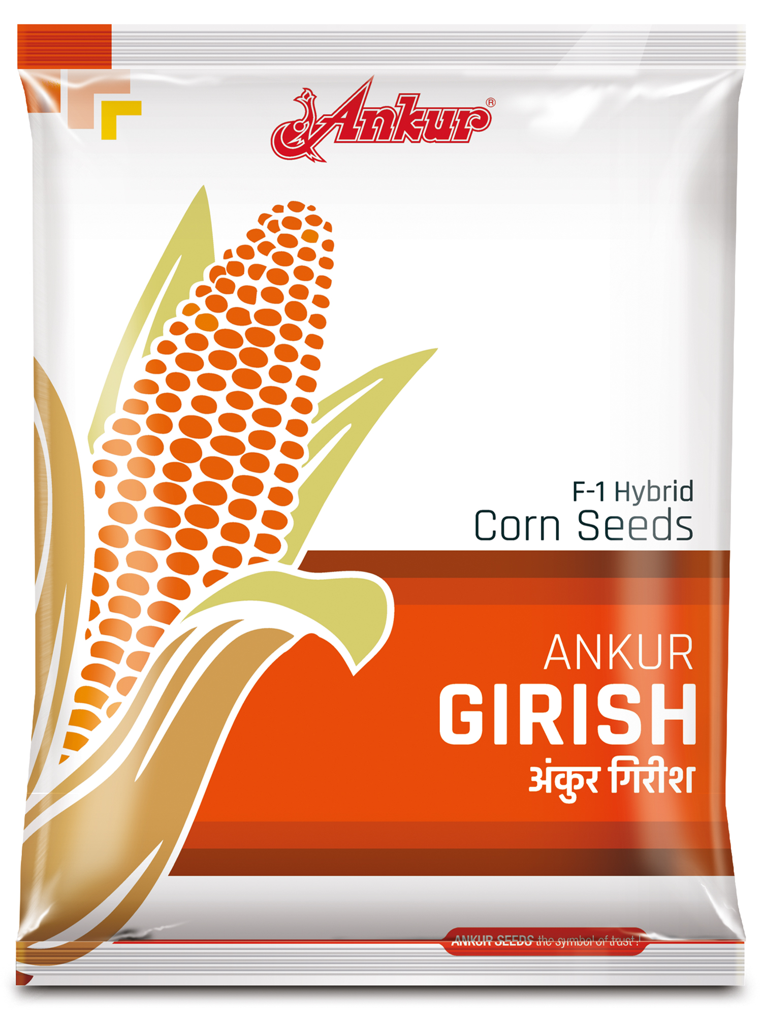 Hy Maize Ankur Girish 