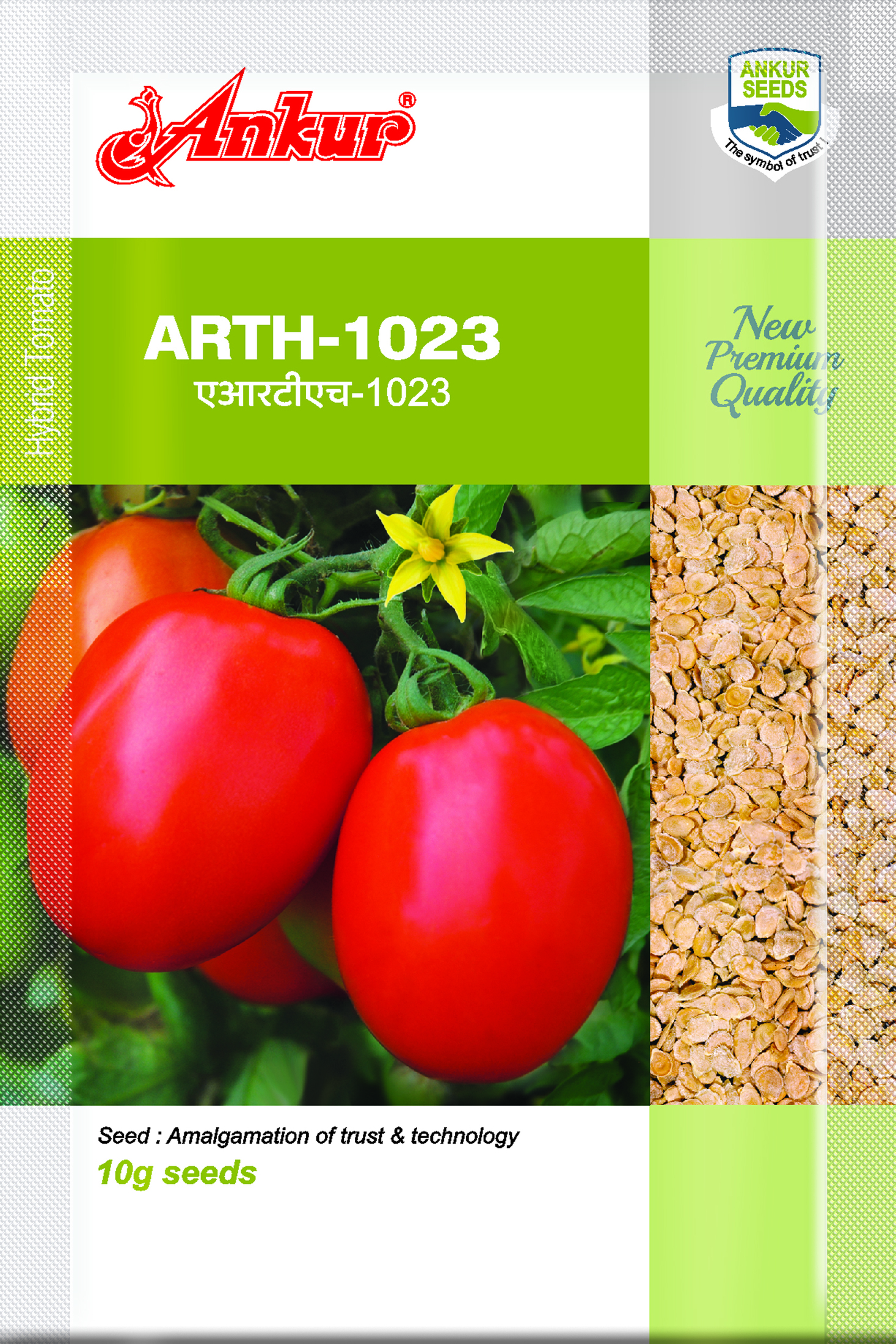 Hy Tomato – ARTH 1023 