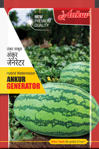 Hy Water Melon Generator 