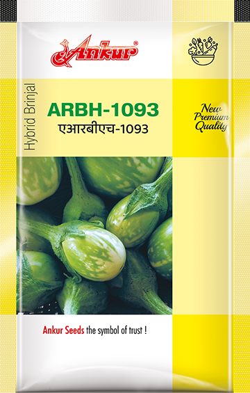Hybrid – ARBH 1093 