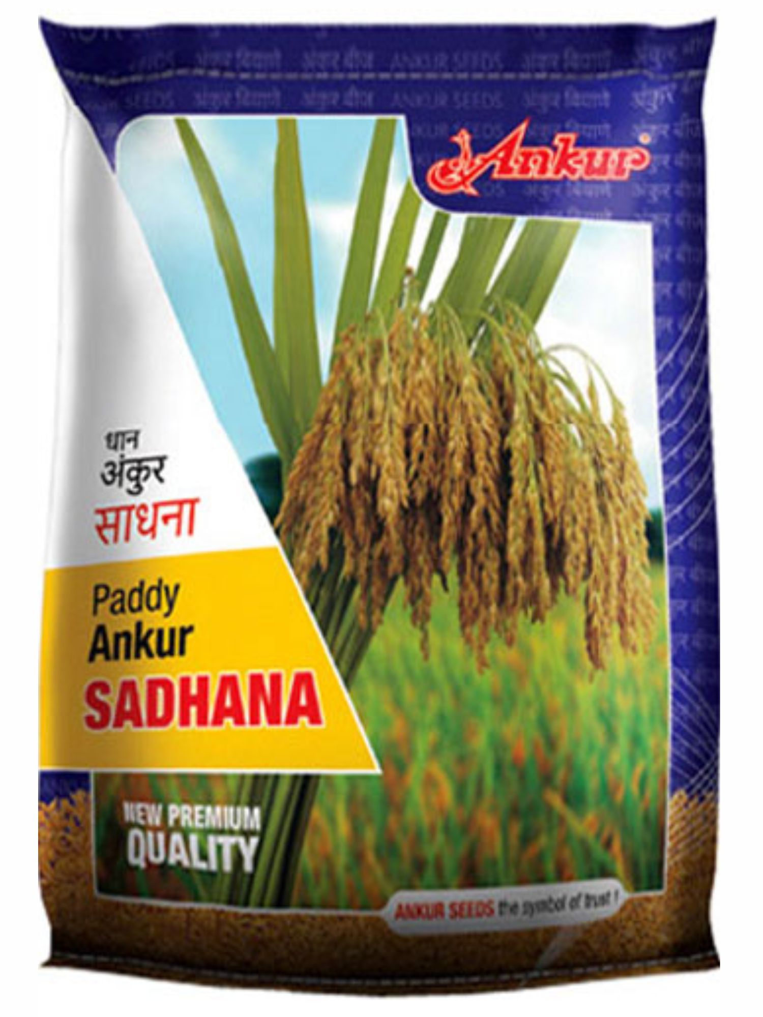 Paddy Sadhana 