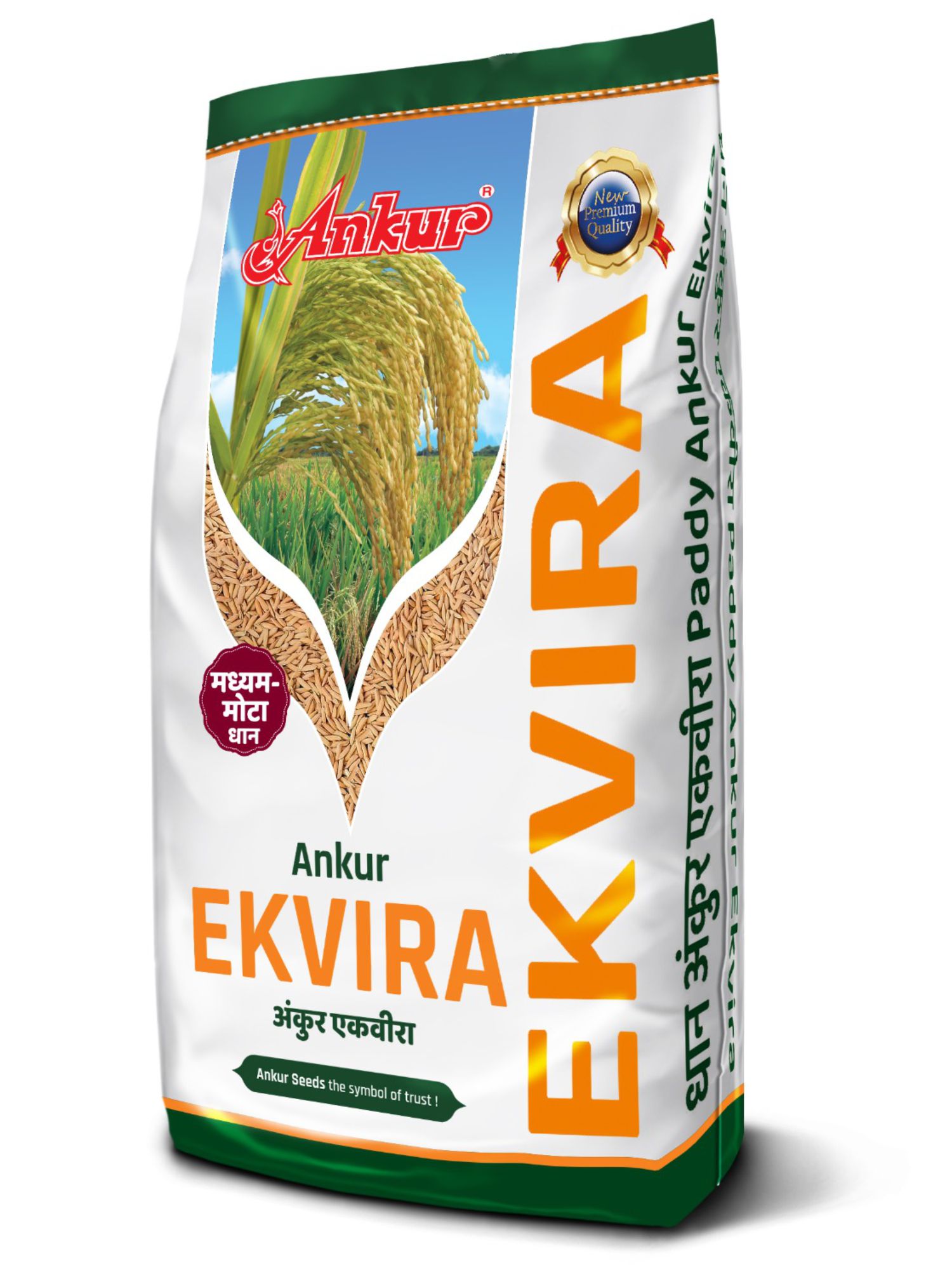 Paddy Ekvira 