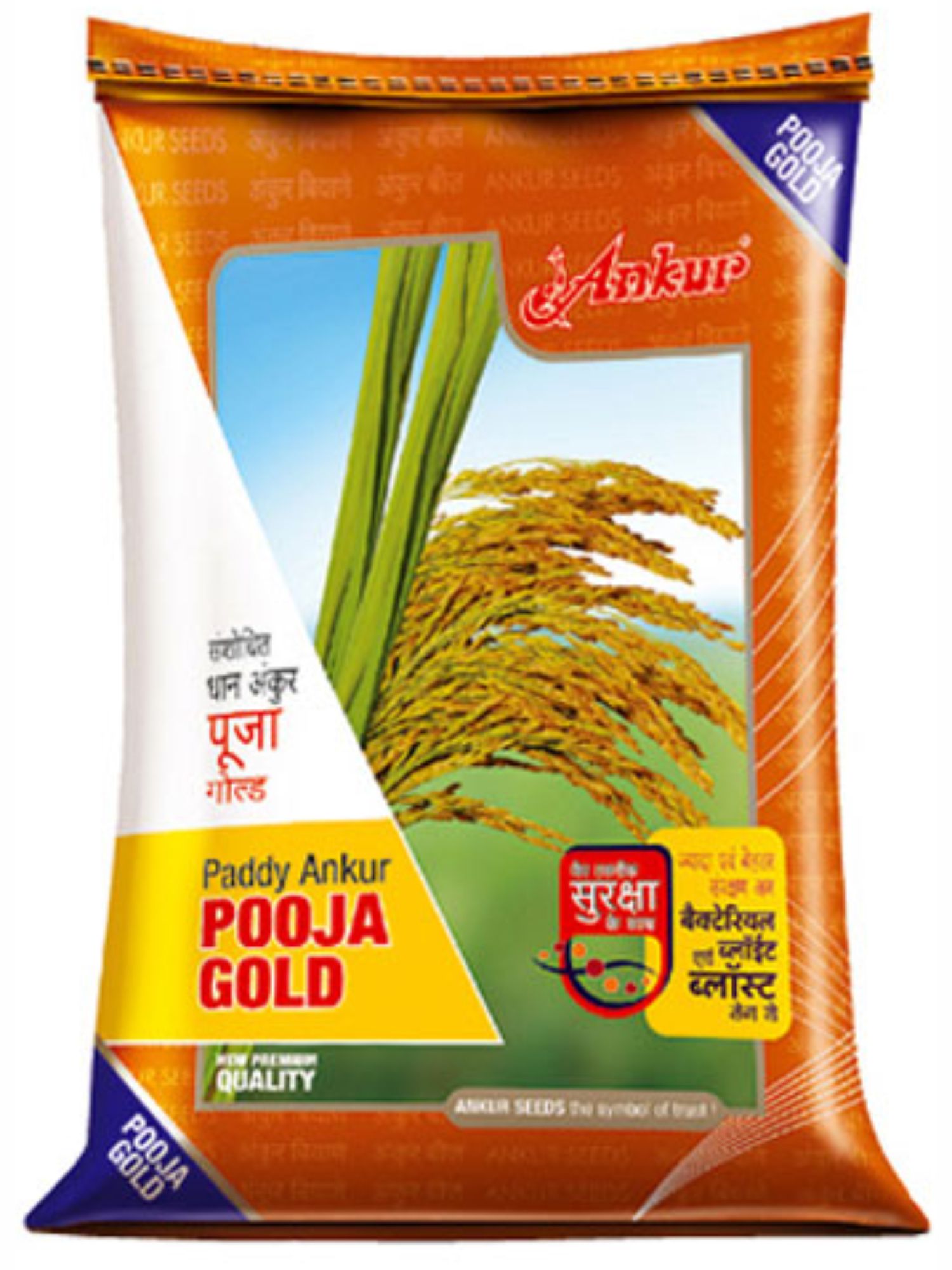 Paddy Pooja Gold 