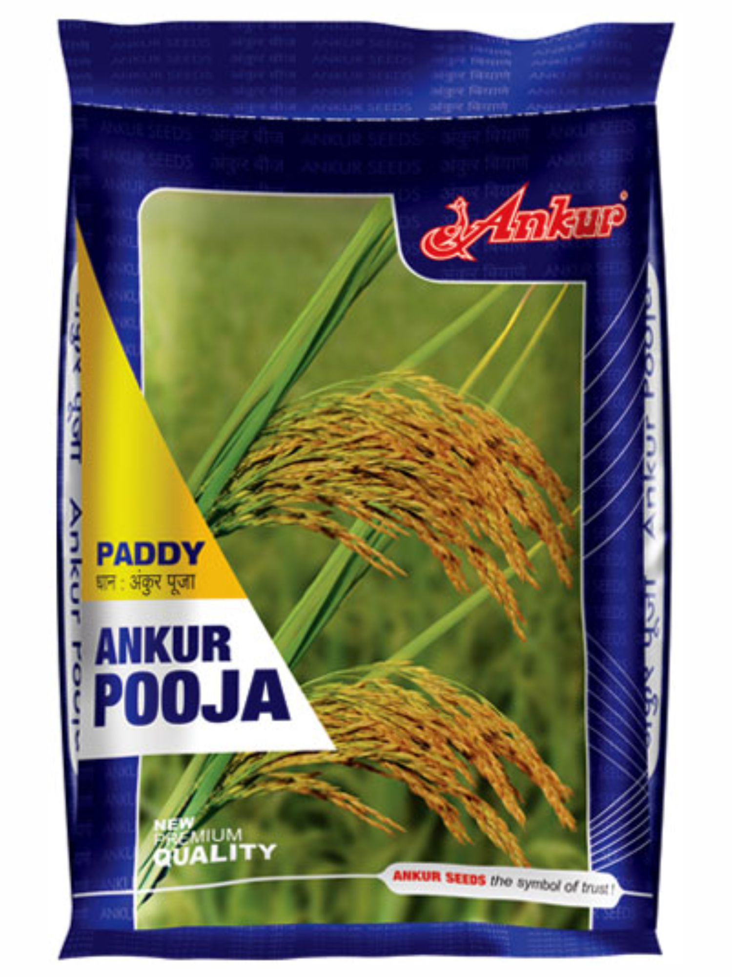 Paddy Pooja 