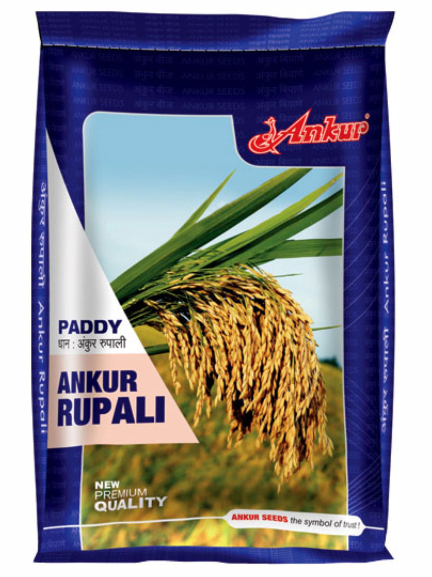 Paddy Rupali 