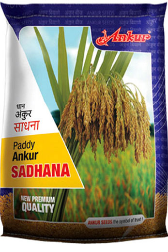 Paddy Sadhana 