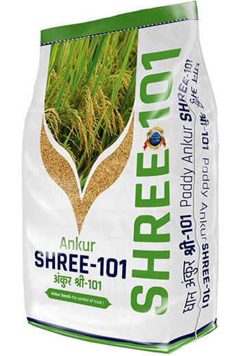 Research Paddy Shree-101 