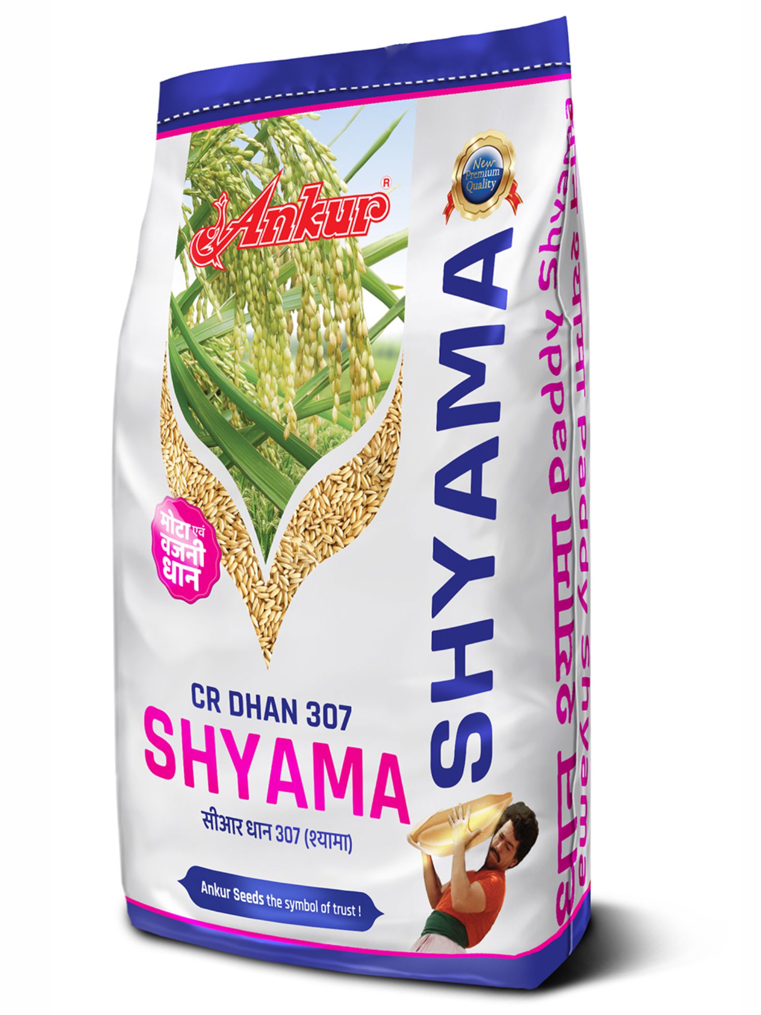 Paddy Shyama 