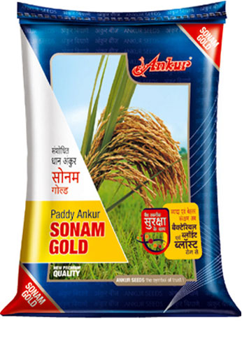 Paddy Sonam Gold 