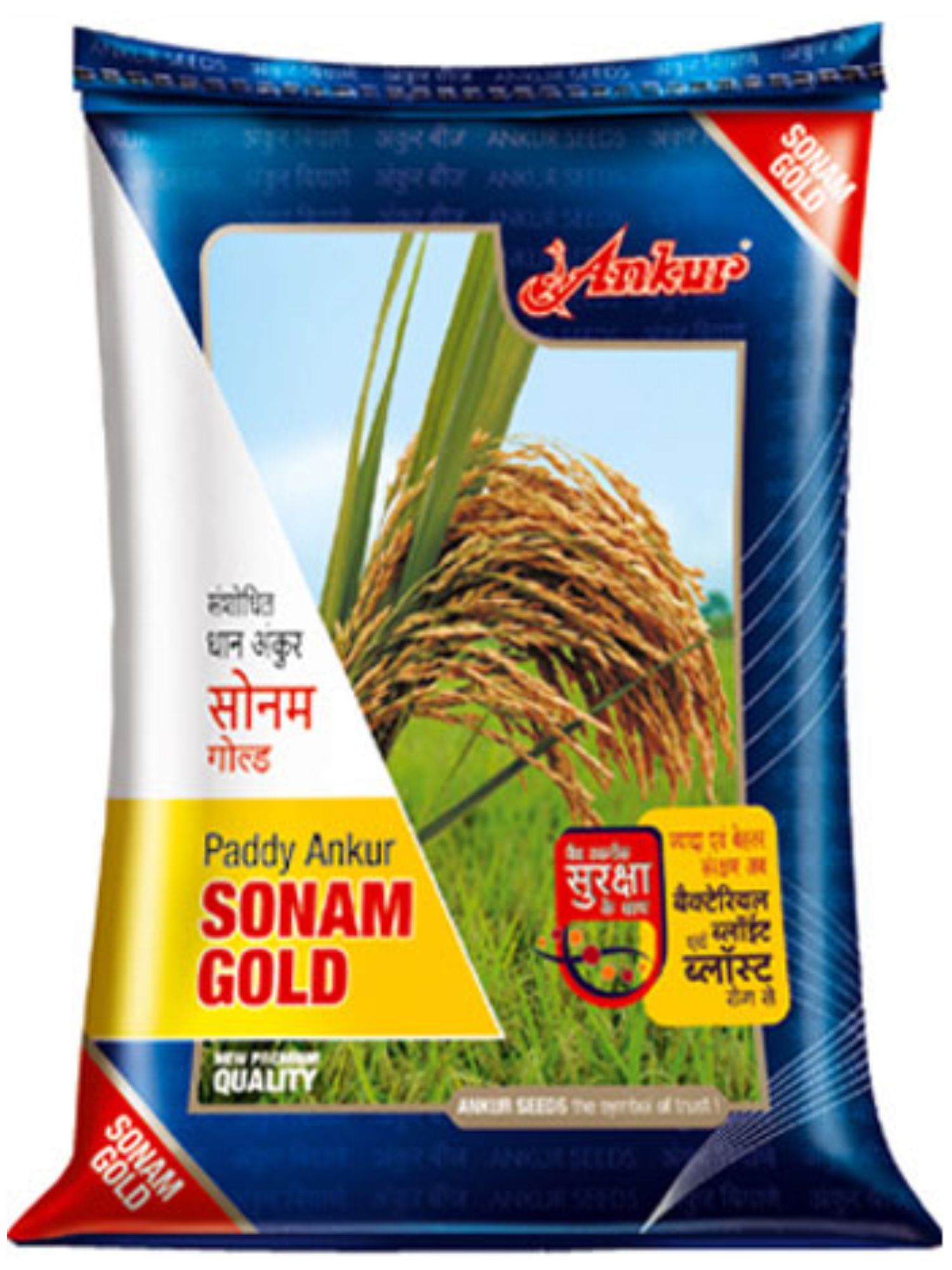 Paddy Sonam Gold 