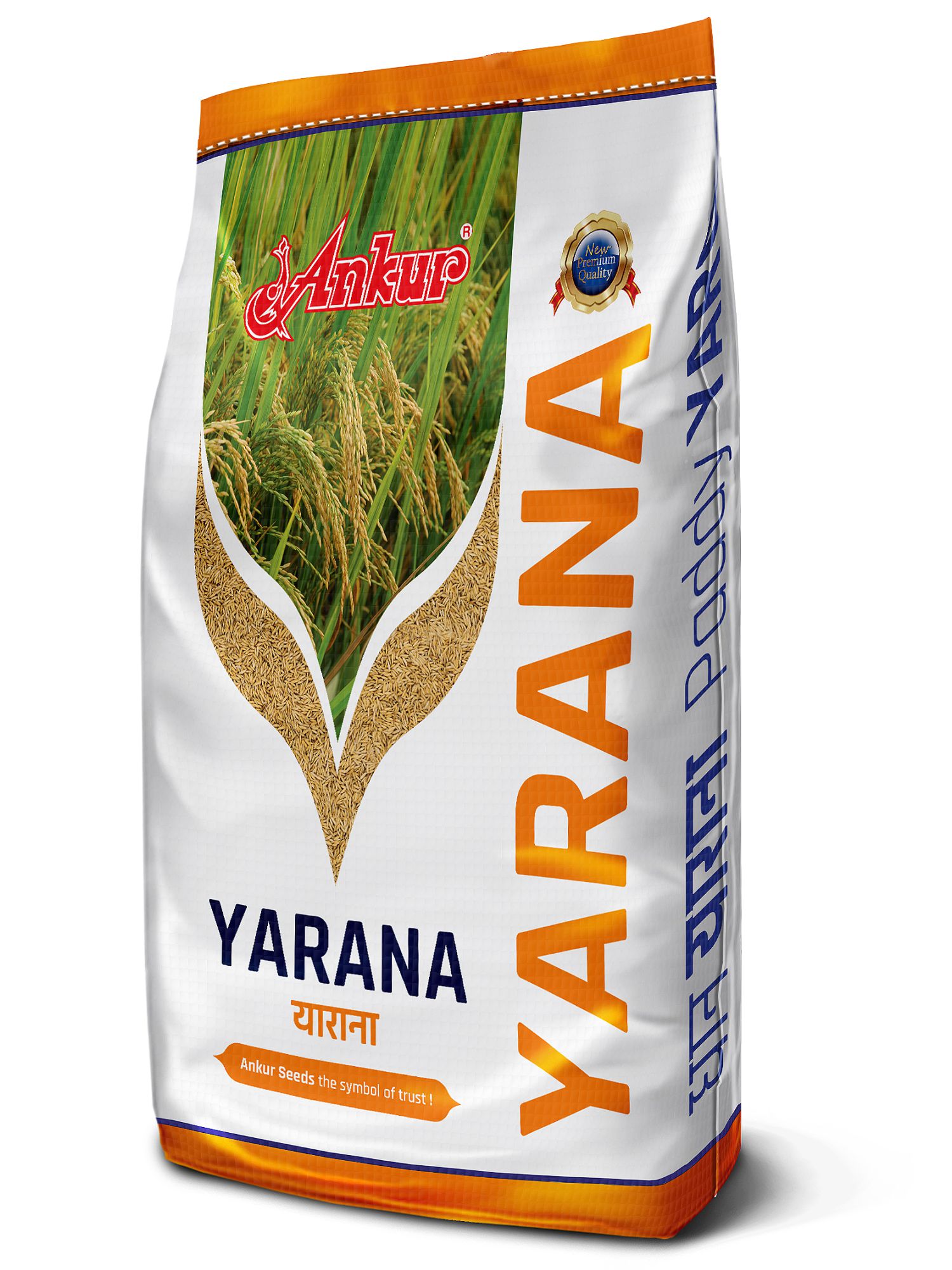 Paddy Yarana 