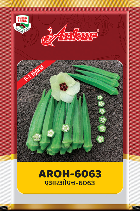 Hy Bhendi - Ankur 6063 
