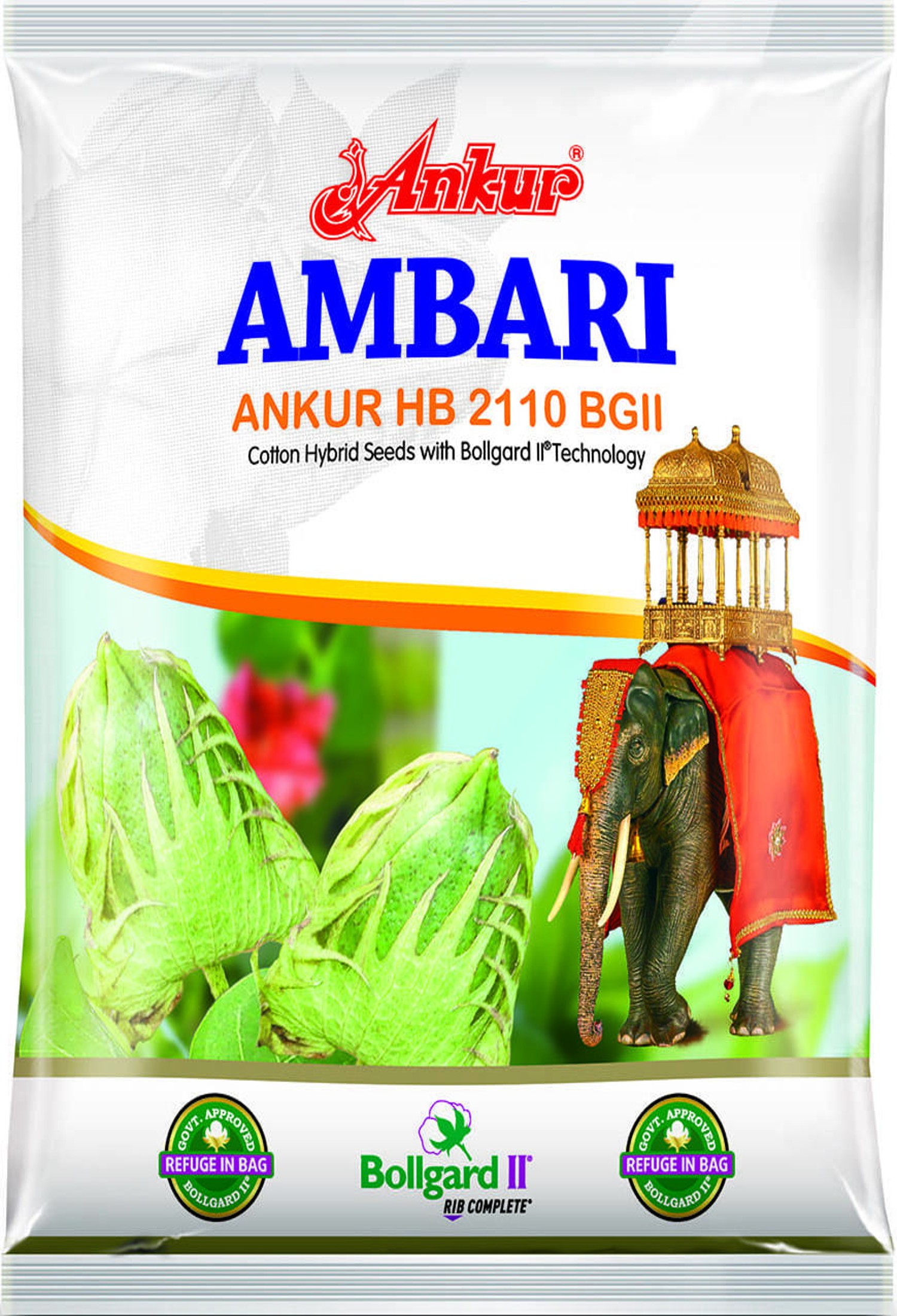 Ankur Ambari - BG II 
