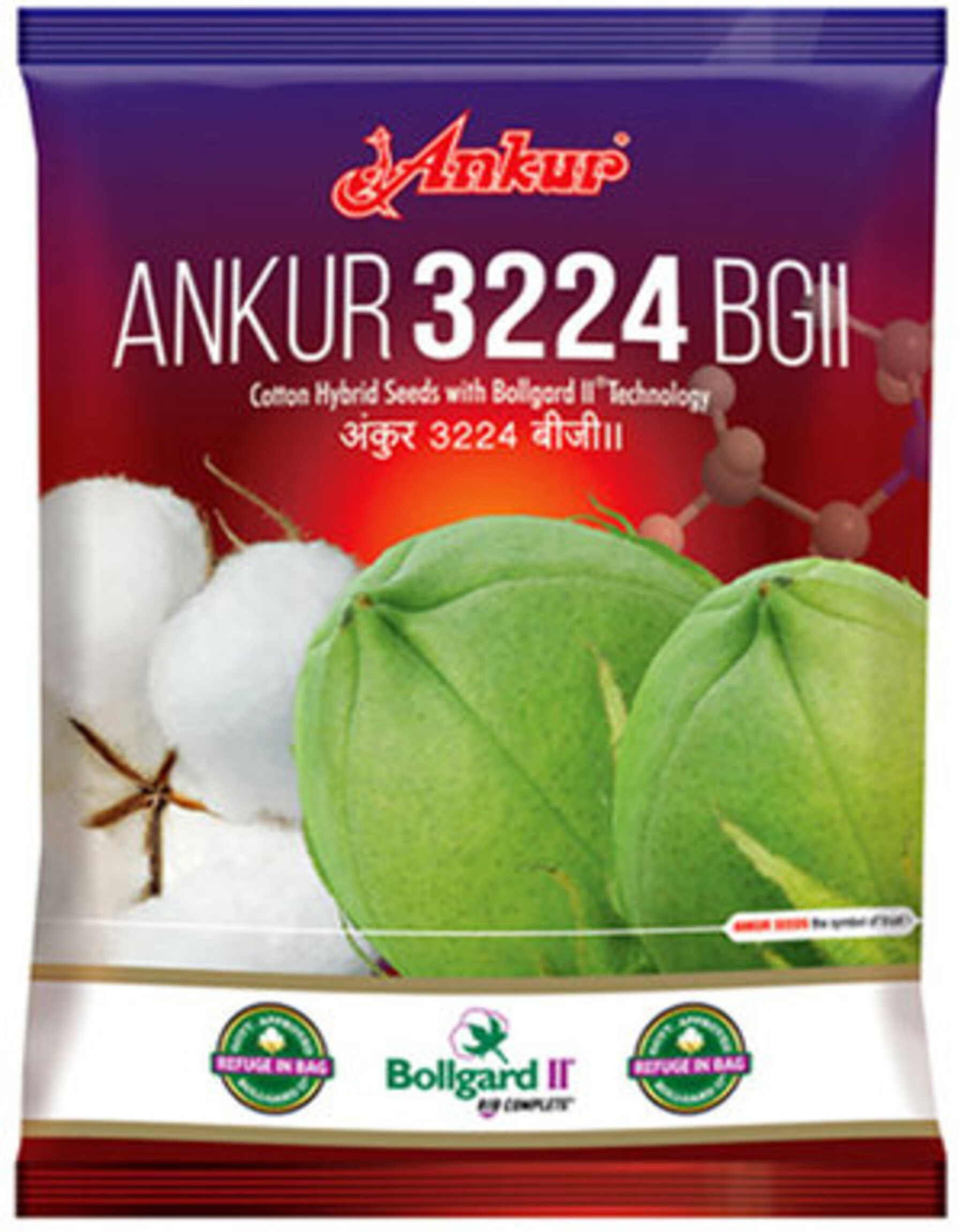 Ankur - 3224 BG II 