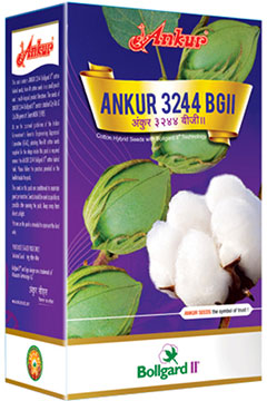 Ankur - 3244 BG II 