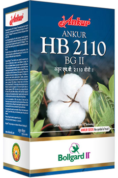 Ankur HB - 2110 - BG II 