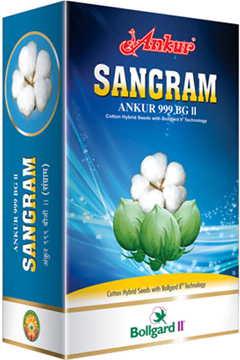 Ankur SANGRAM BG II 