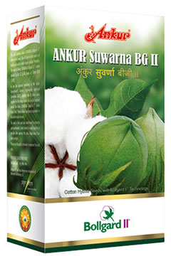 Ankur - Suwarna  BG II 