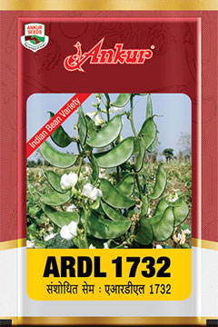 Beans ARDL 1732 