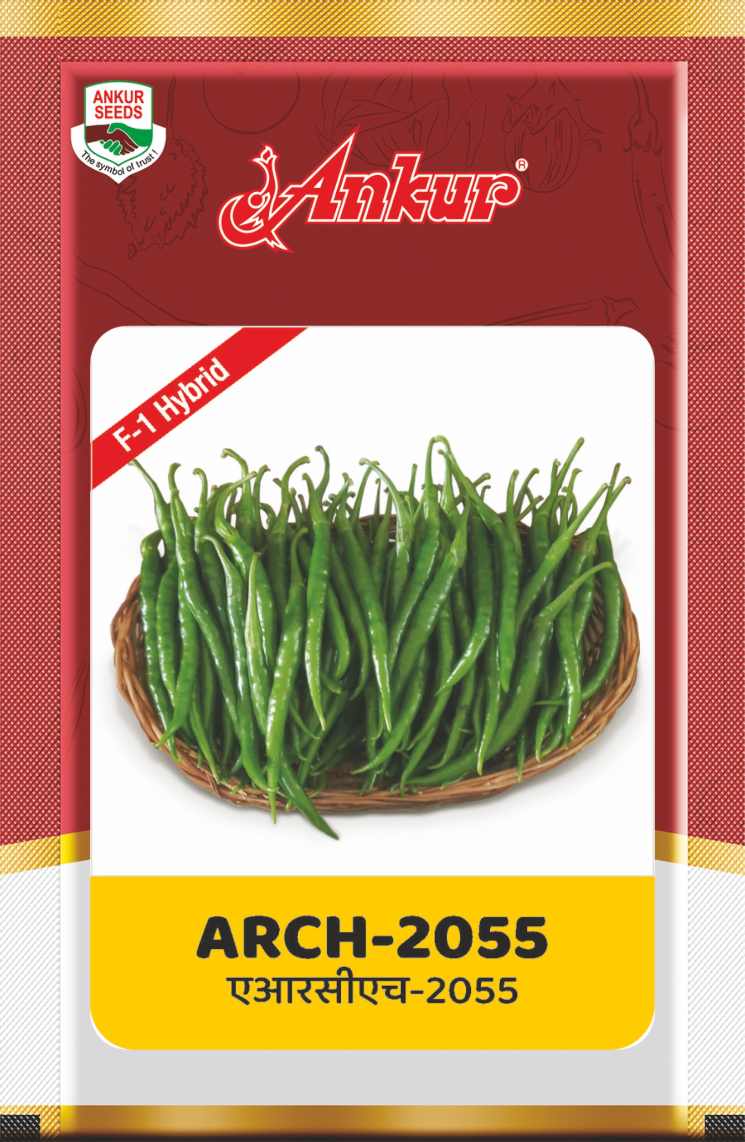 Chilli- ARCH-2055 