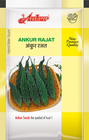 Hy Bitter Gourd Rajat 