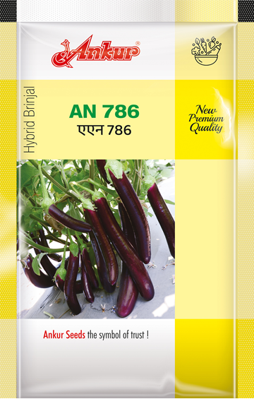Hy Brinjal ARBH-786 