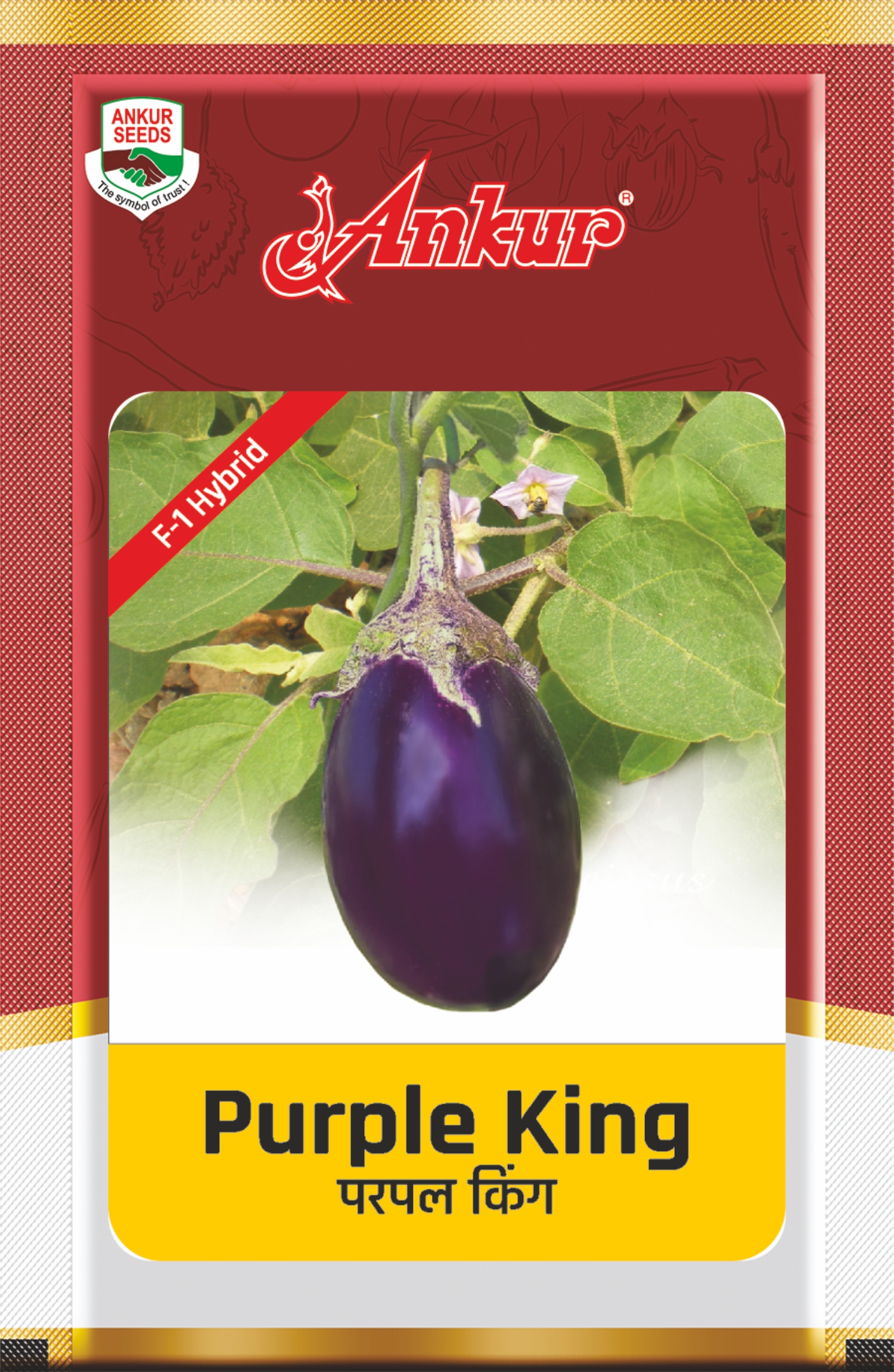 Hy Brinjal- Purple King 