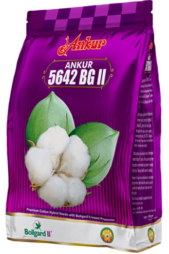 Hy Cotton Ankur-5642 BG-II 