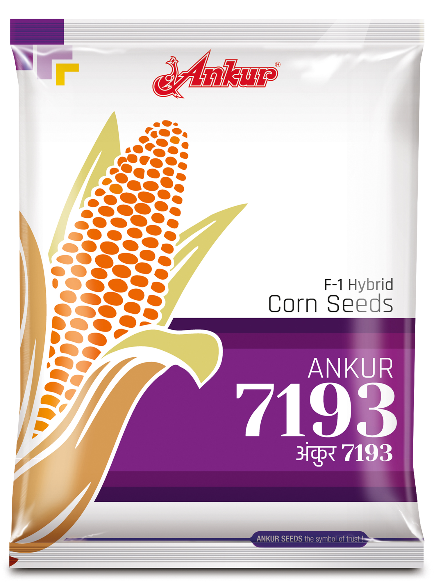 Hy Maize Ankur 7193 