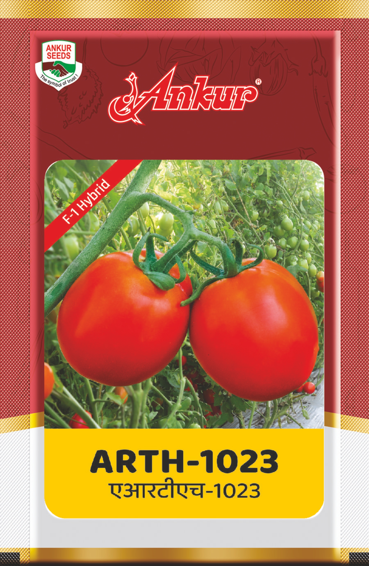 Hy Tomato – ARTH 1023 