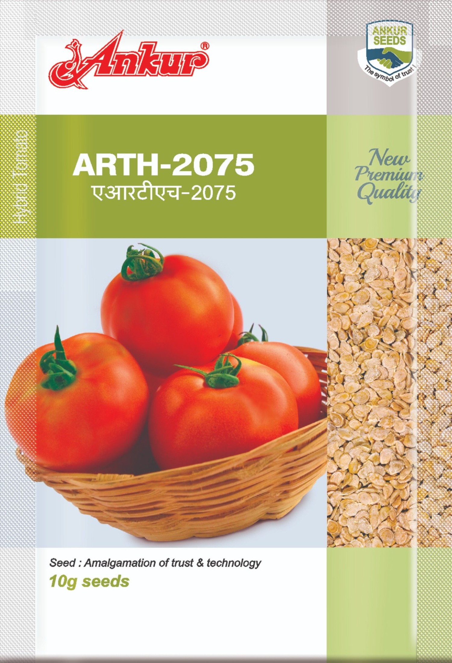 Hy Tomato ARTH 2075 