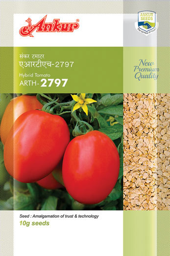 Hy Tomato ARTH - 2797 