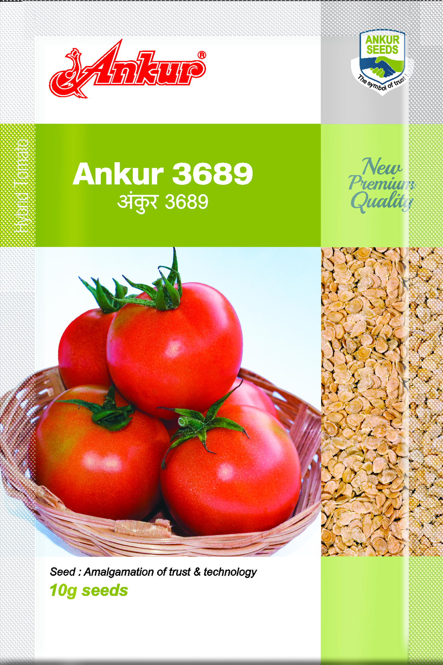 Hy Tomato ARTH 3689 