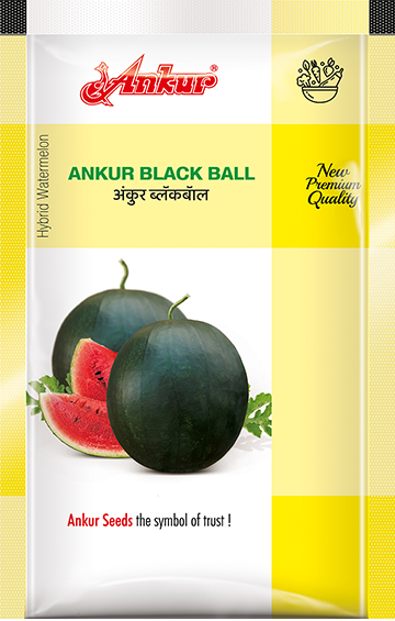 Hy Water Melon Black Ball 