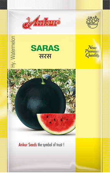 Hy Water Melon Saras 