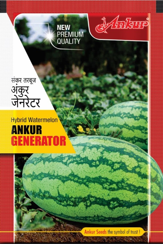 Hy Watermelon Generator 