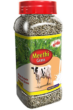 Meethi Grass (IMP Ryegrass) 