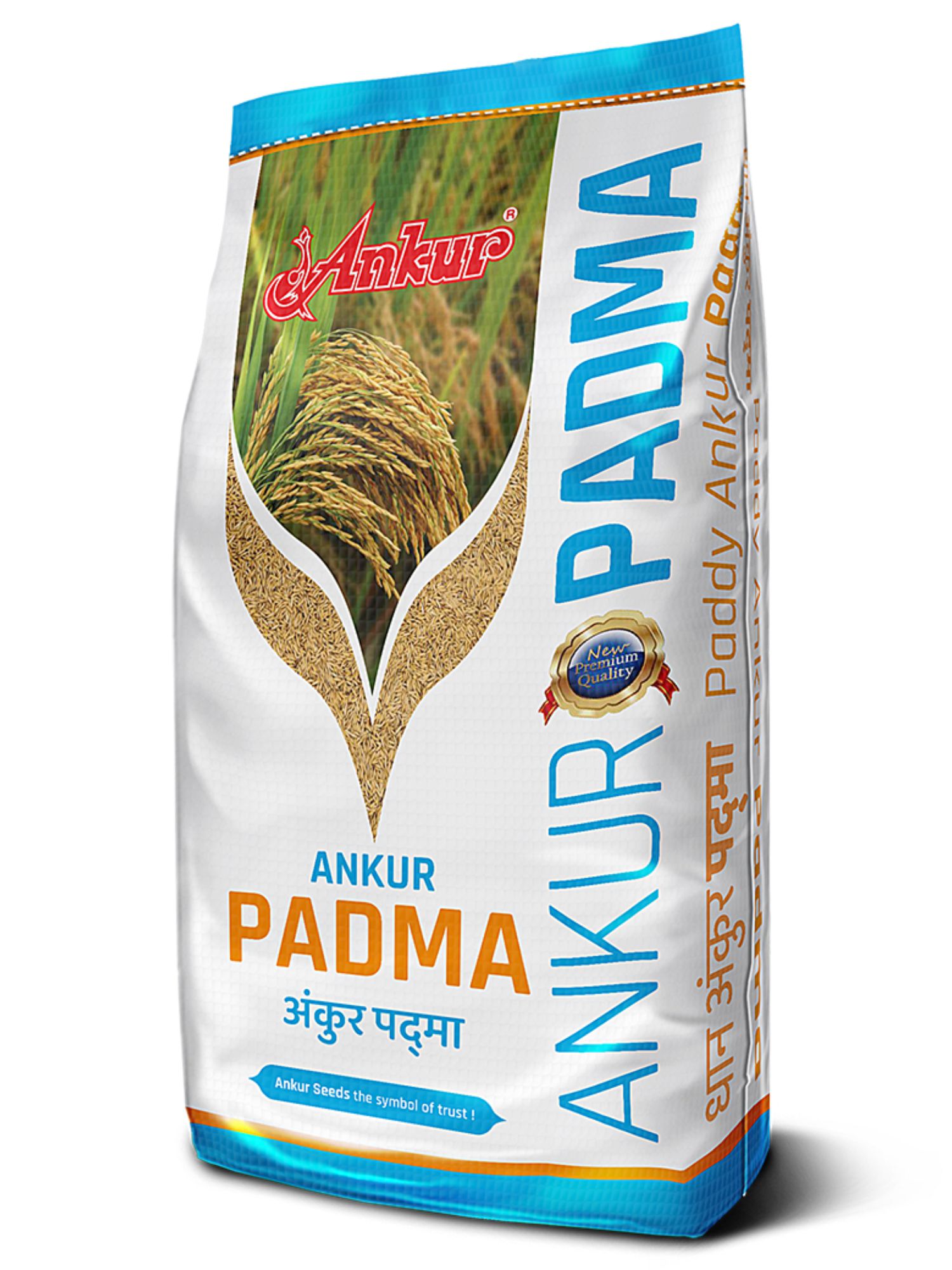Paddy - Ankur Padma 
